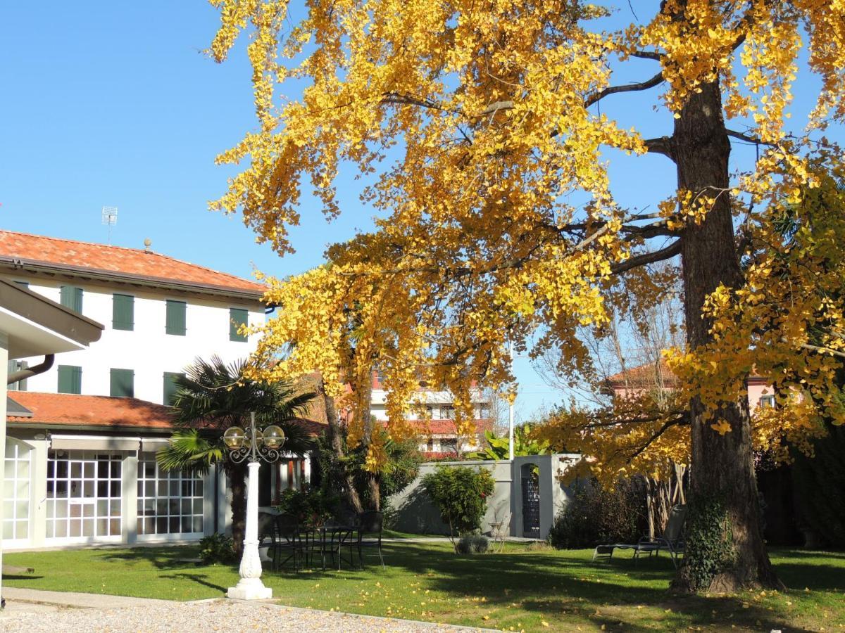 Ginkgo Guest House Ronchis 외부 사진